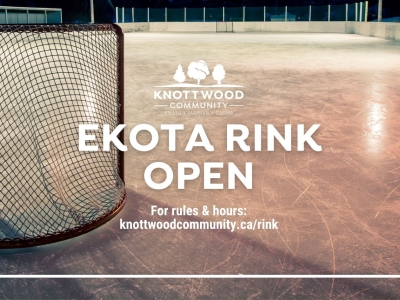 Ekota Rink Update