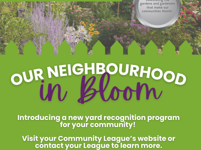 Nominate your neighbour: New yard recognition program for Knottwood